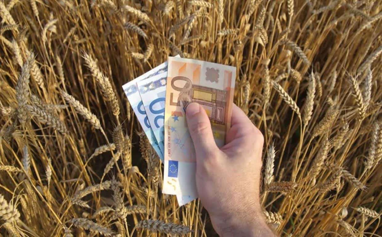 FT: ЕС из-за протестов фермеров изменит порядок выделения сельхоз субсидий