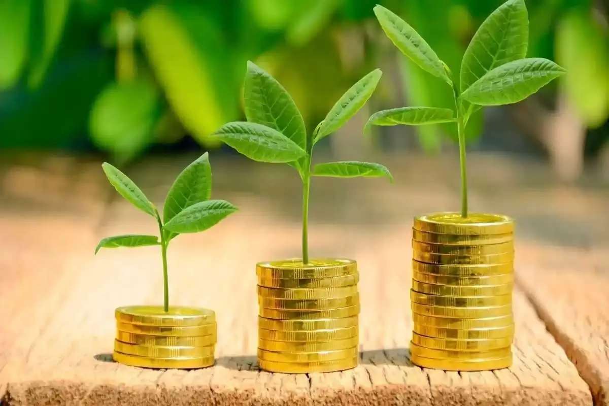 Fermierii cu GȚ riscă întârzieri la subvenții dacă nu actualizează IDNO-ul
