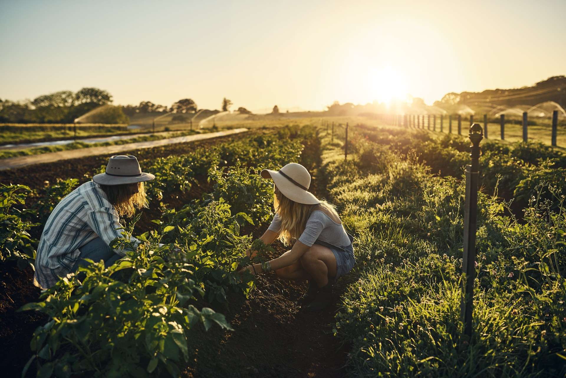Agricultoarele pot participa la programul de granturi educaționale TalentA