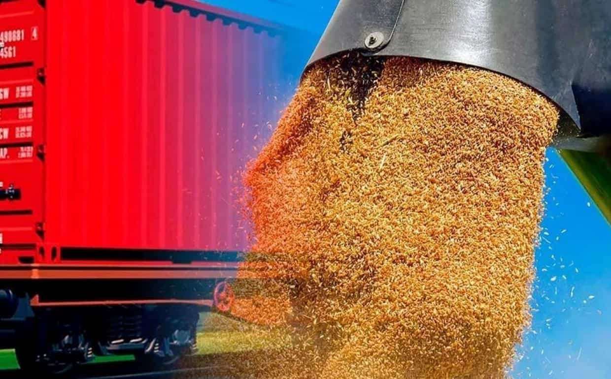 Сентябрьский экспорт зерна из РФ сократился на четверть