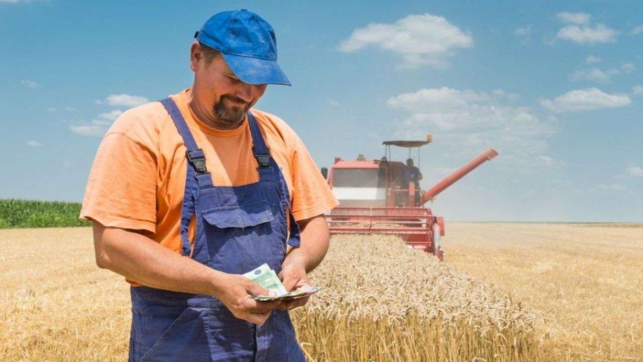 Datoriile fermierilor afectați de secetă, amânate: Vor avea loc instruiri