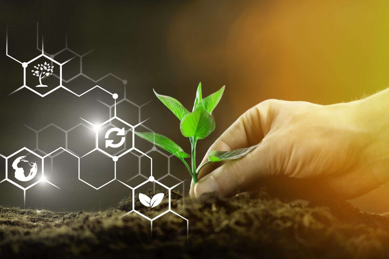 RM și Germania cooperează pentru dezvoltarea știinţei agricole
