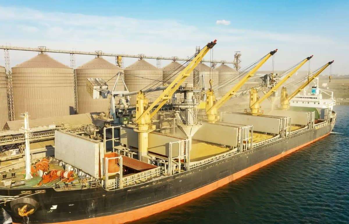 В портах Украины стоимость кукурузы перешла отметку 200 USD/т