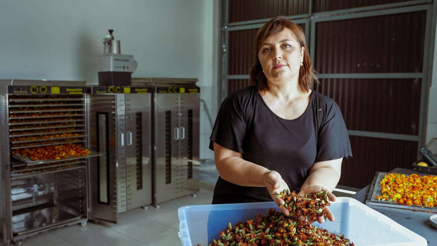 Afacere parfumată: O antreprenoare cultivă plante aromatice ecologice