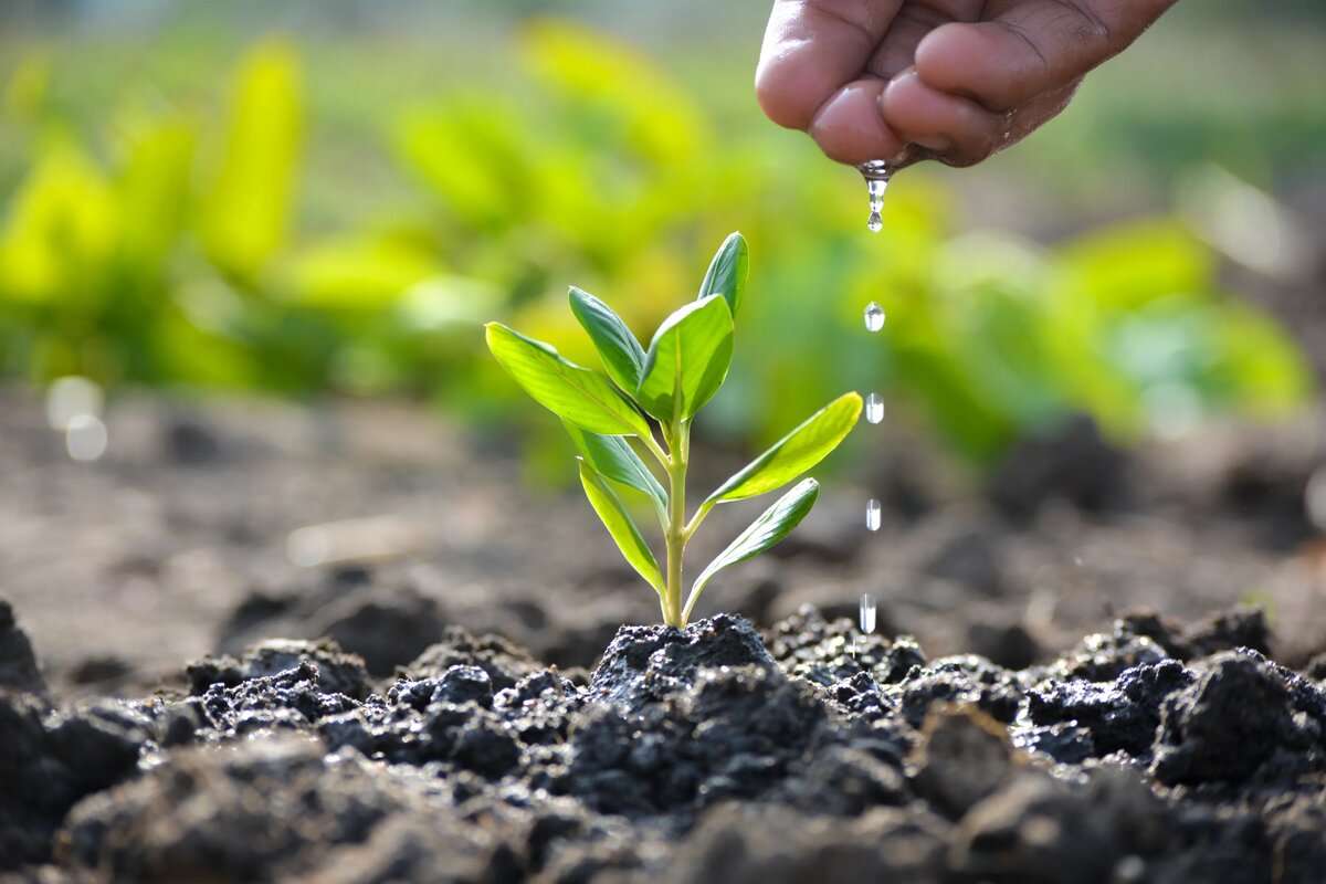 Reutilizarea apelor uzate în agricultura din RM: Va fi lansat un studiu