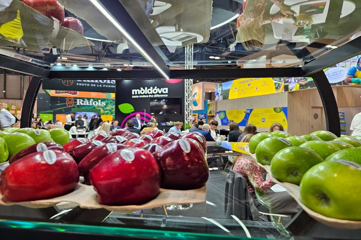 Exportatorii moldoveni se orientează către lanțurile mari de magazine