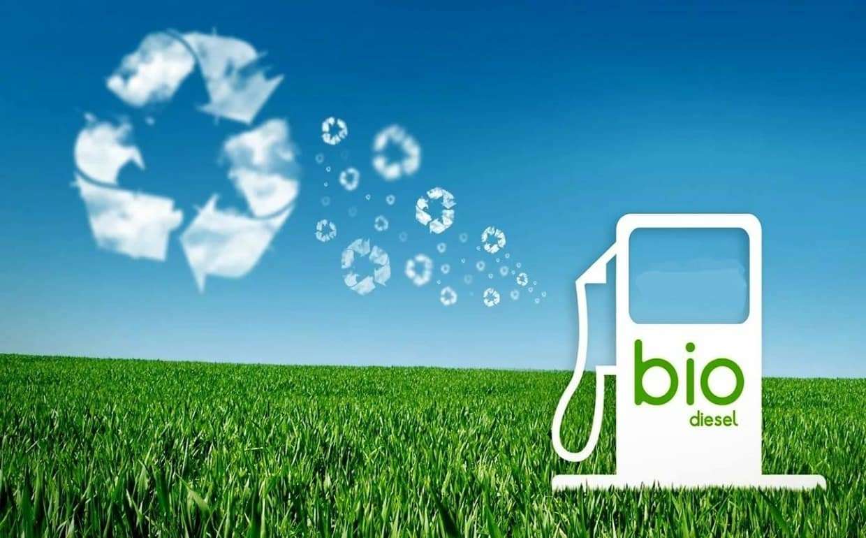 Прогнозируется резкий рост рынка биотоплива до 58 млн тонн к 2030 году