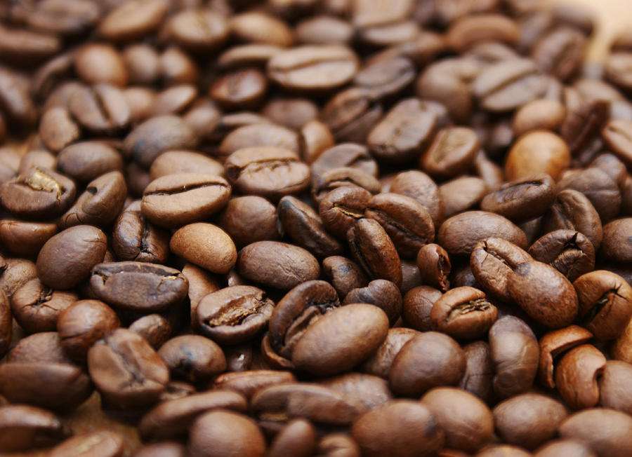 Producția de cafea, în creștere. Cine sunt cei mai mari producători
