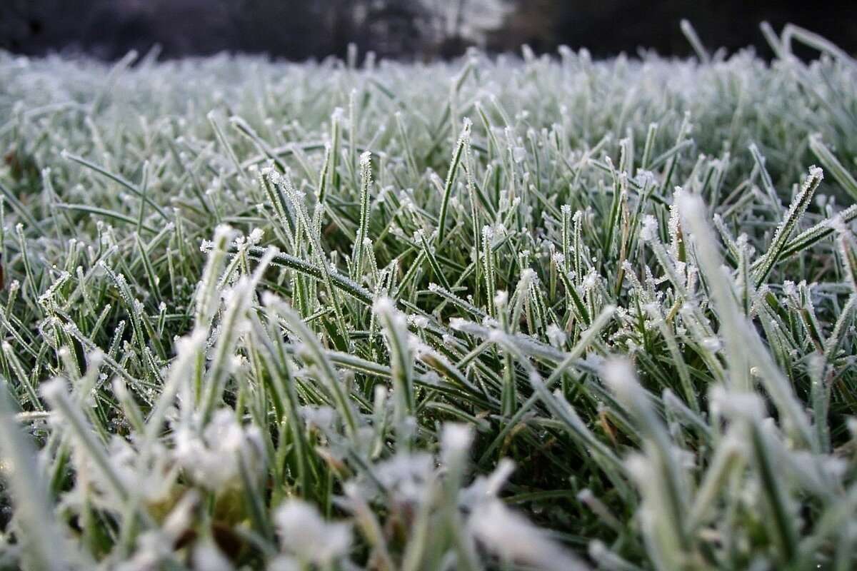 Meteorologii anunță primele înghețuri. Iată măsurile de atenuare