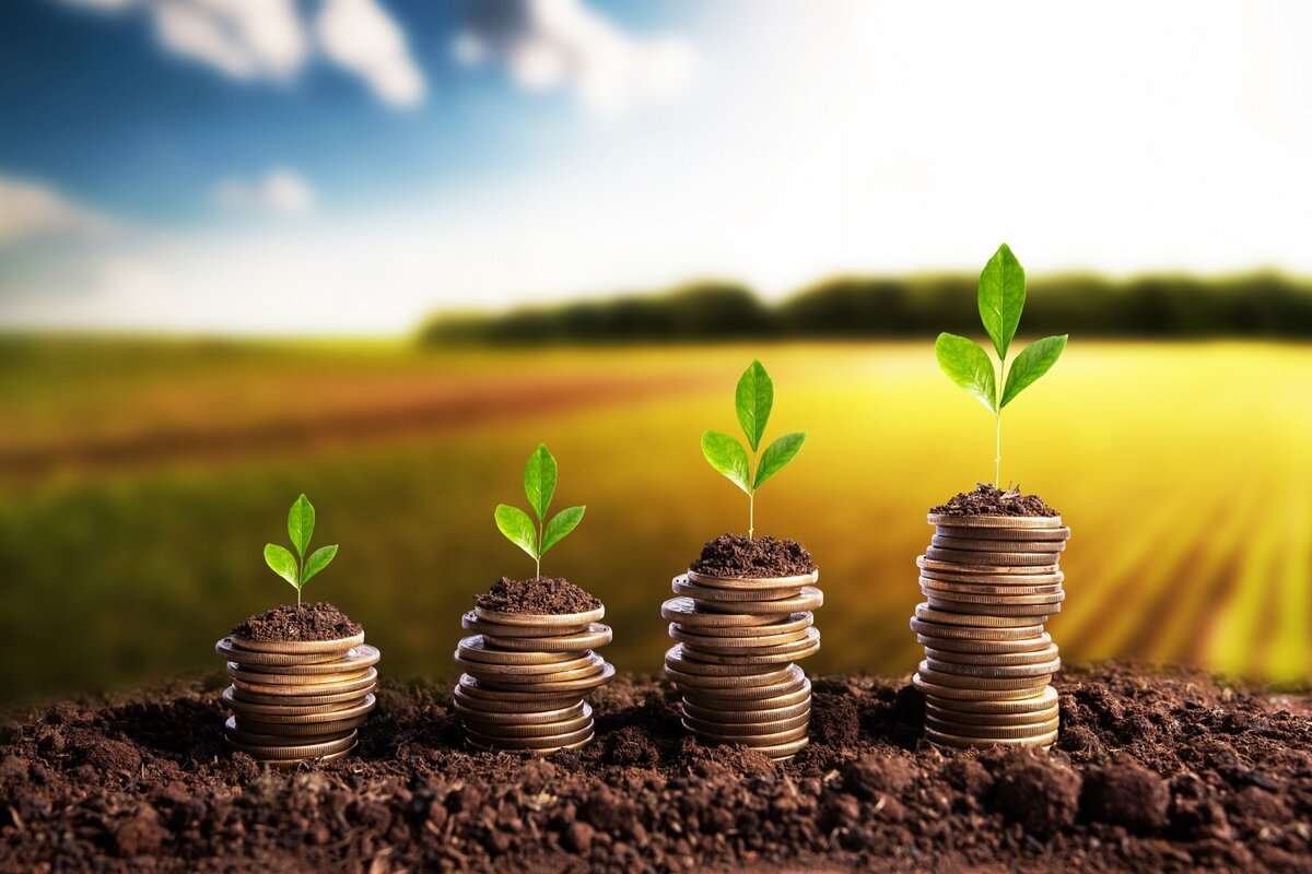 Subvenții agricole: În ce au investit fermierii în ultimii trei ani