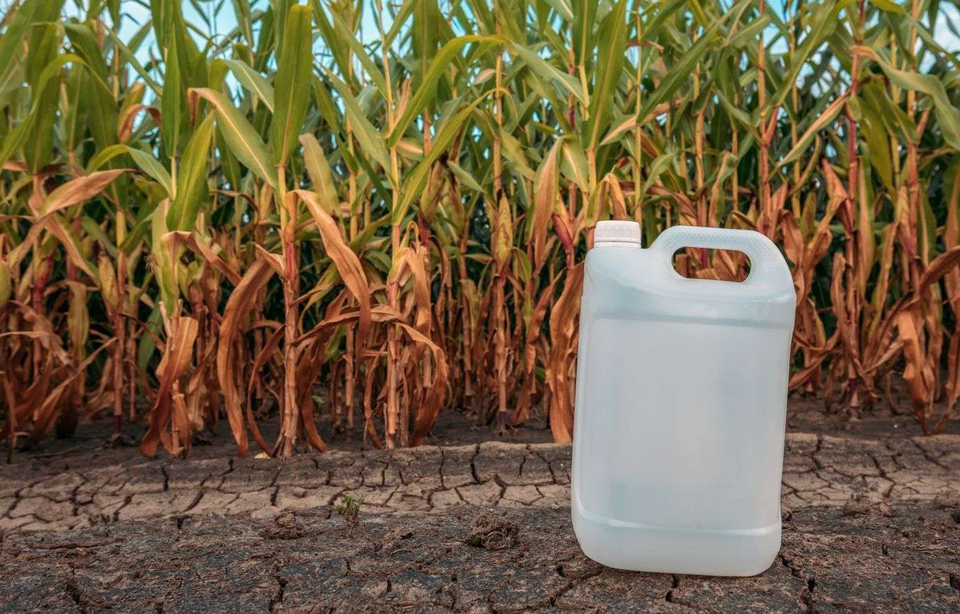 Fermierii pot scăpa de ambalajele produselor agricole. Unde se pot adresa