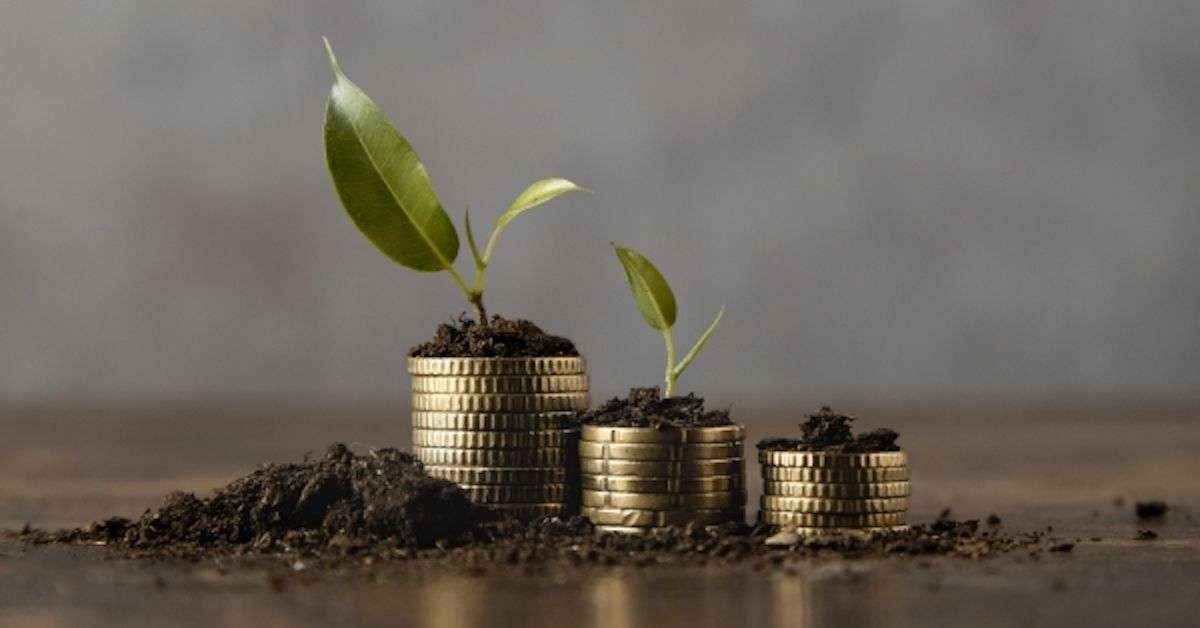 Granturi pentru întreprinderile agroalimentare: Cine sunt eligibili