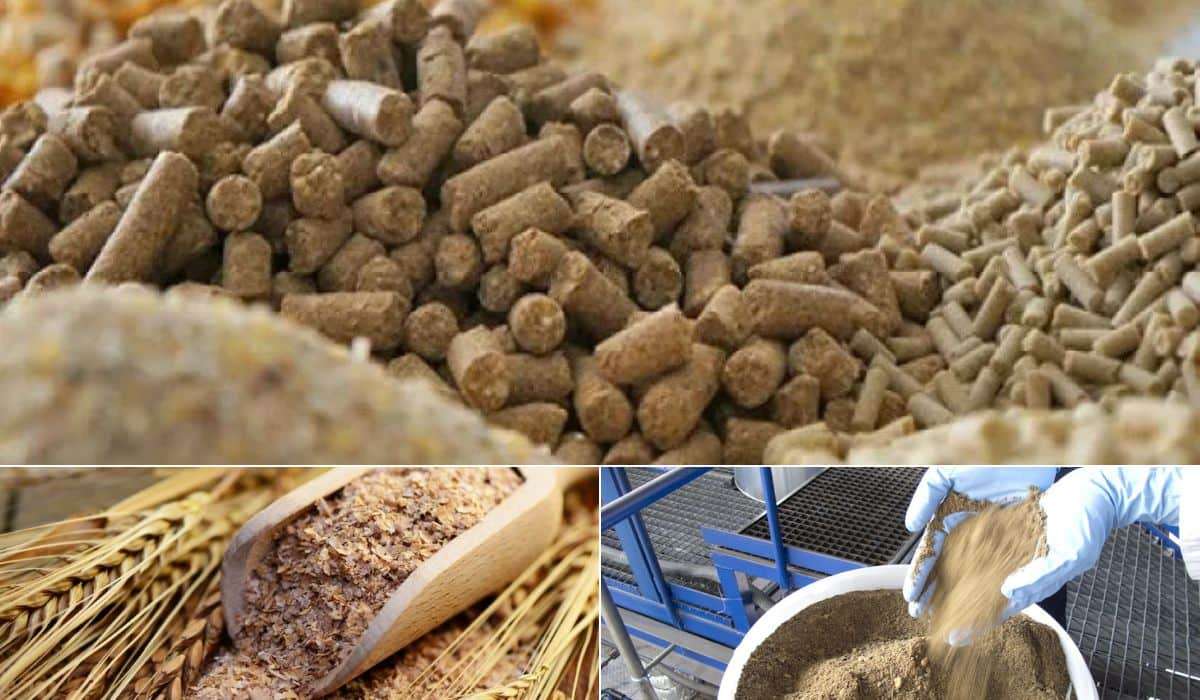 Торговля побочными продуктами пищевой промышленности и кормами для животных