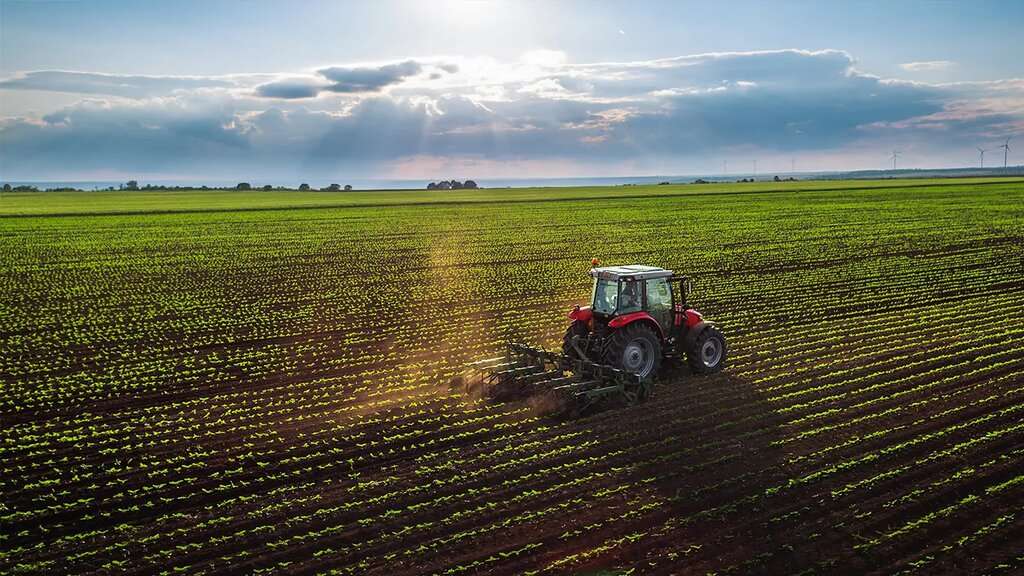 FALS! Străinii nu pot deține terenuri agricole din R. Moldova