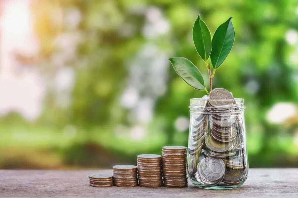 Dezvoltarea afacerilor: 43 de antreprenori vor beneficia de granturi