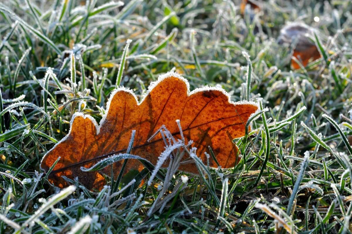 Vremea se răcește brusc: Meteorologii au emis Cod Galben