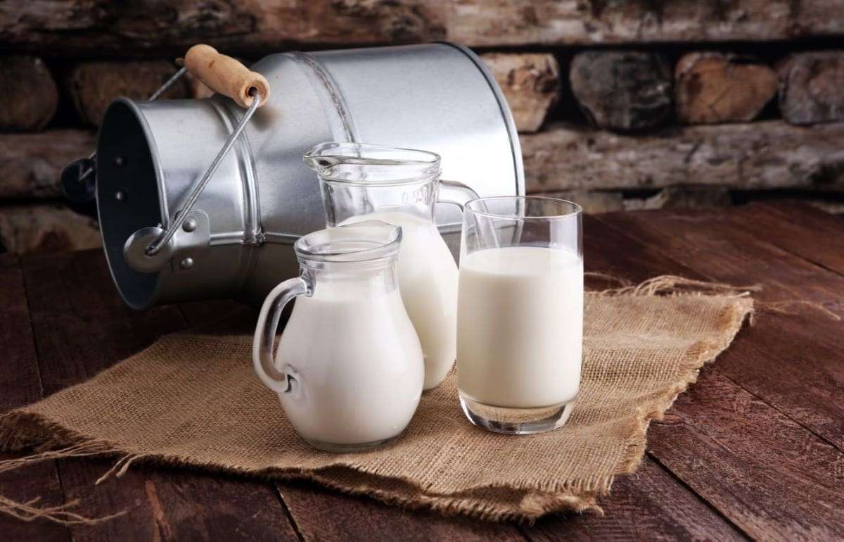 Мировой молочный рынок: глобальный дисбаланс производства молока
