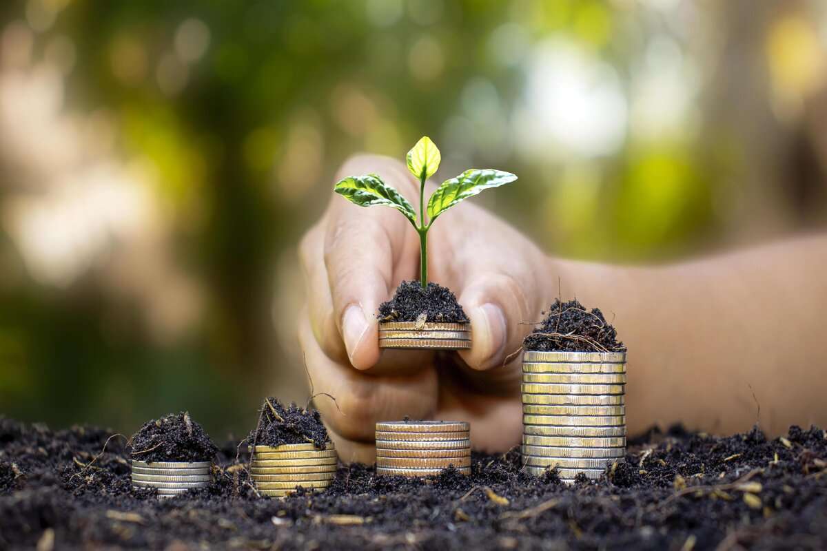 Agricultura modernă: Câți fermieri au investit în dezvoltarea afacerilor