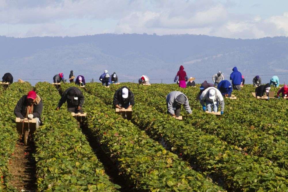 Lansarea afacerii: Tinerii și femeile din mediul rural pot primi finanțare