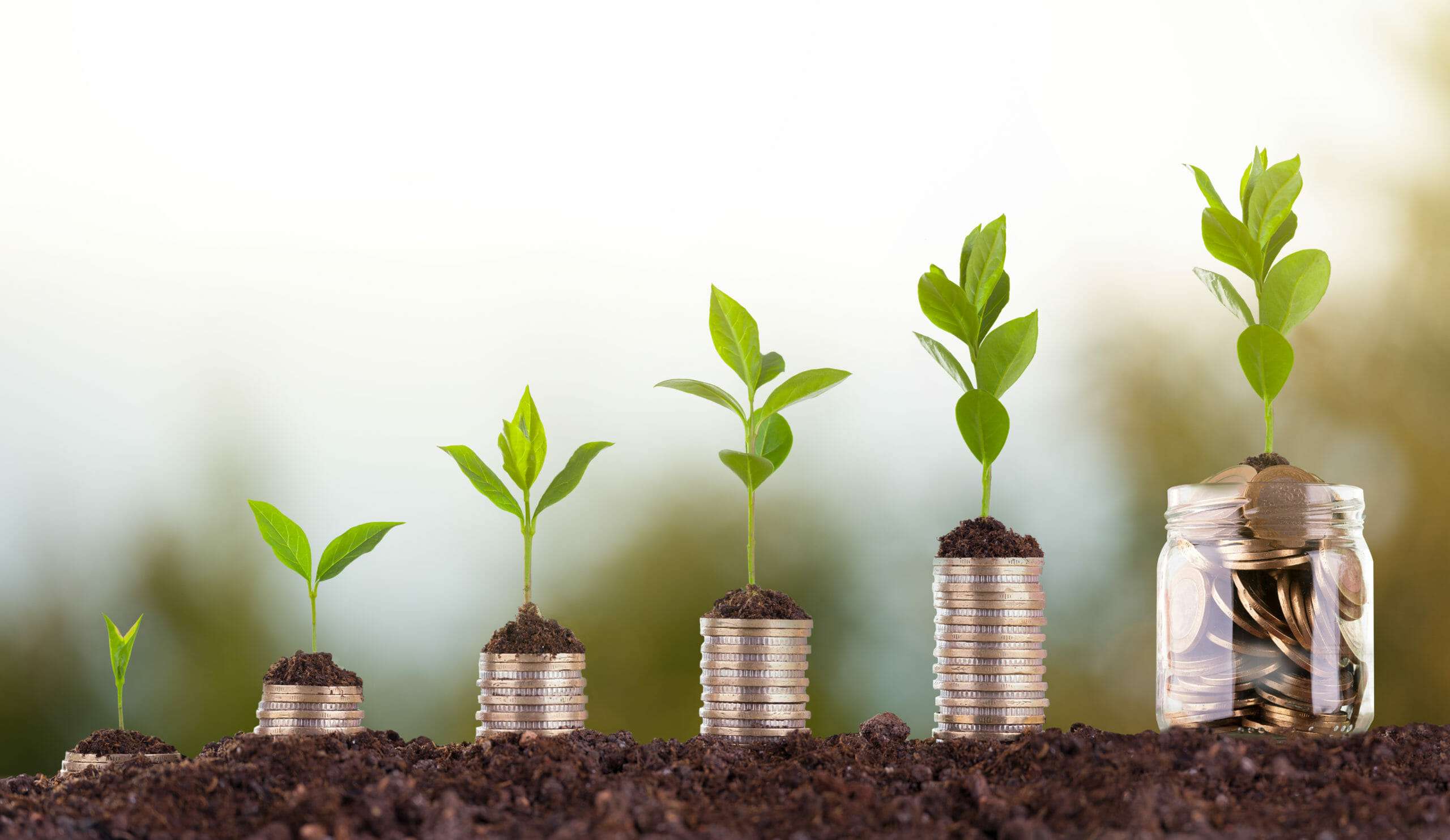 Ultima șansă: Ce tipuri de subvenții mai pot solicita agricultorii