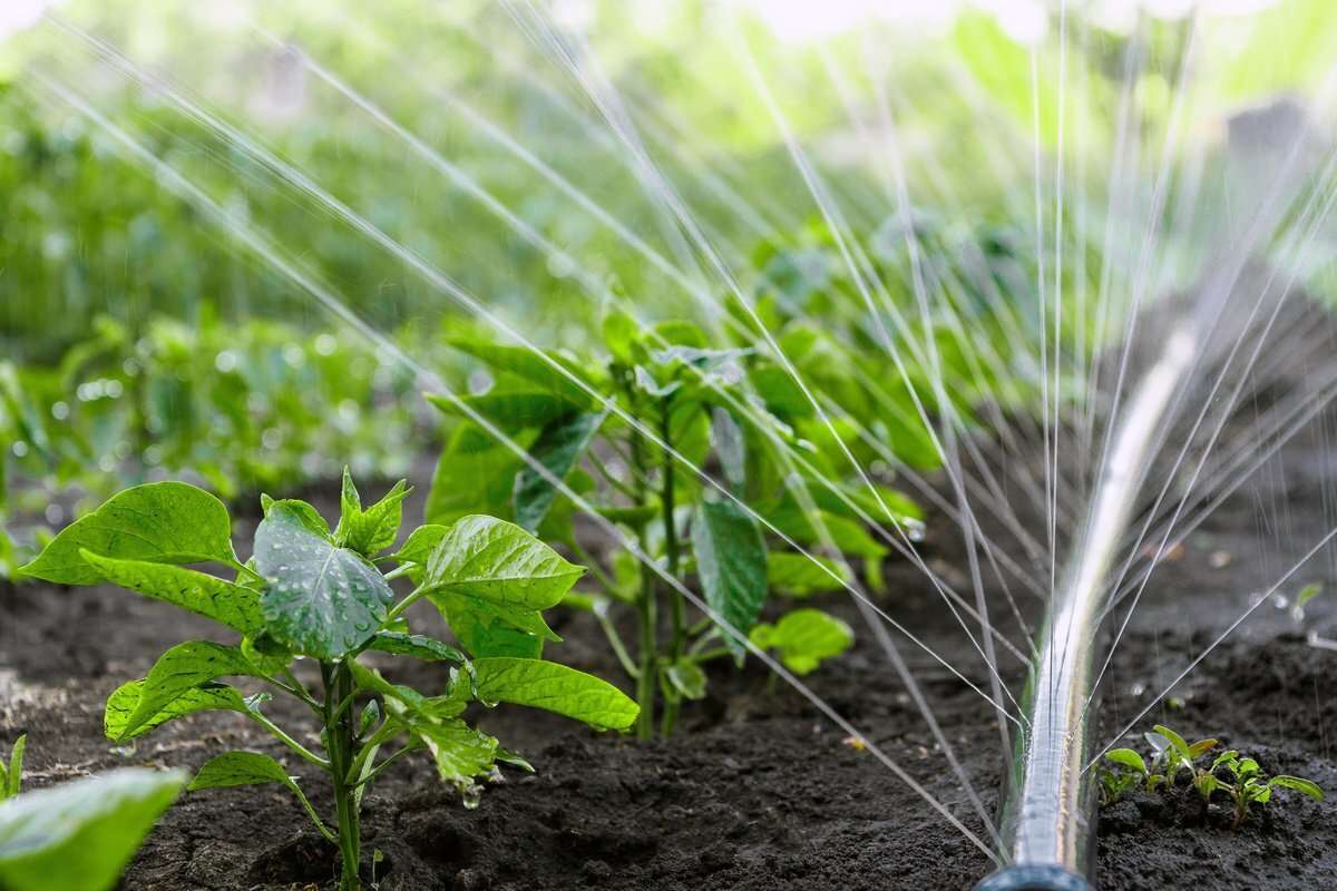 Fermierii pot solicita granturi pentru echipamentele de irigare online