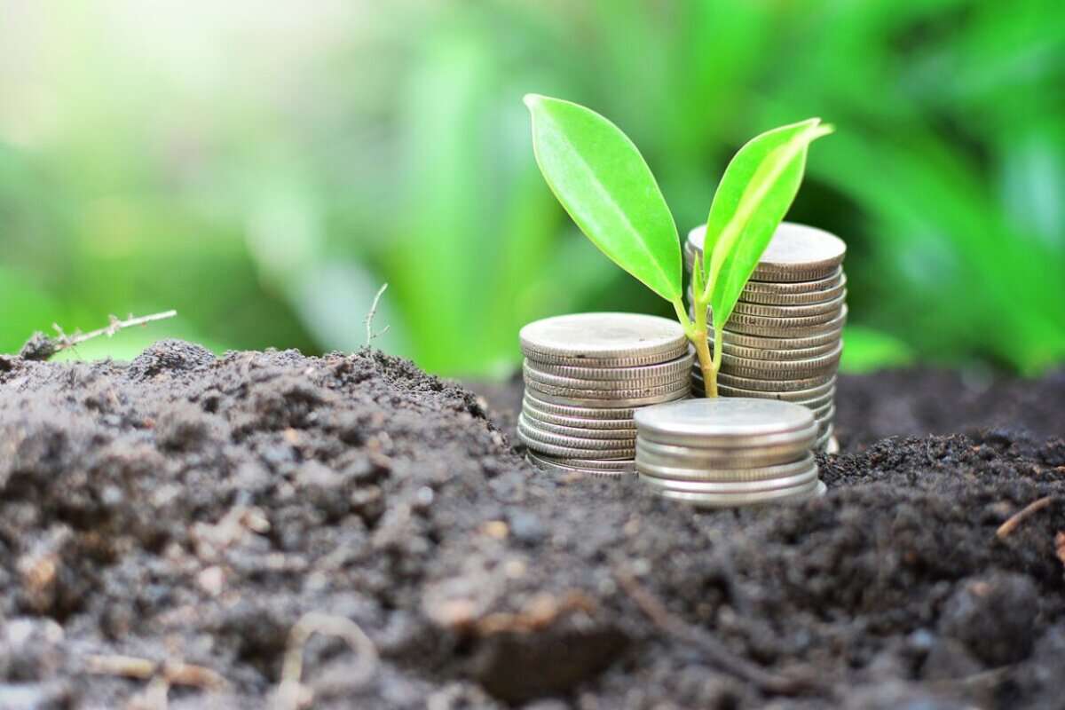 Subvenții: Fermierii mai au câteva zile pentru a-și depune dosarele