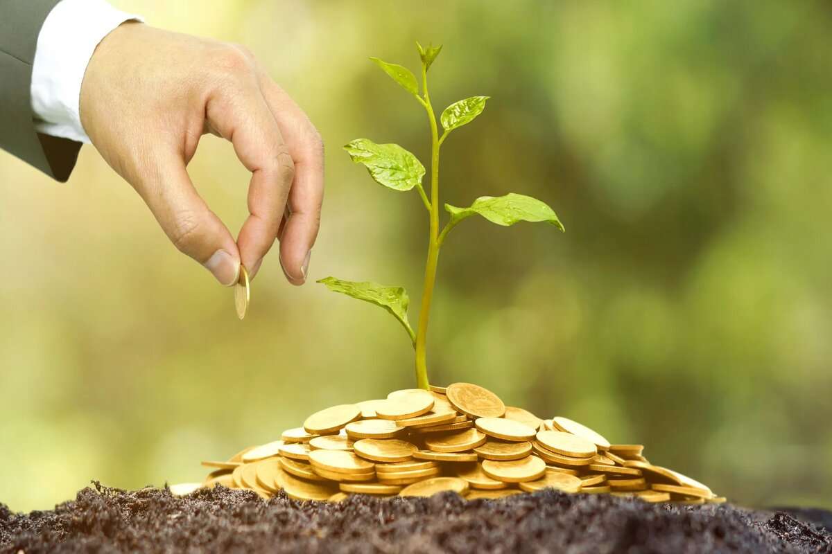 1,7 miliarde de lei pentru sectorul agricol. Cum s-au repartizat banii