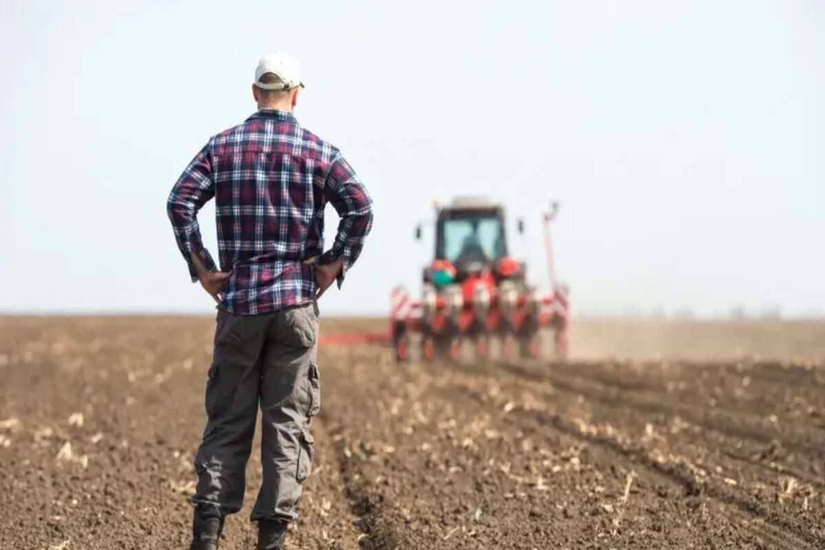 Fermierii au fost auziți? Legea cu privire la secetă va fi modificată