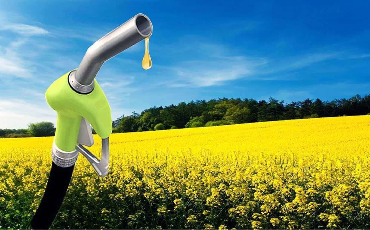 Corteva с BP объединяют усилия по разработки сырья для экологичного топлива