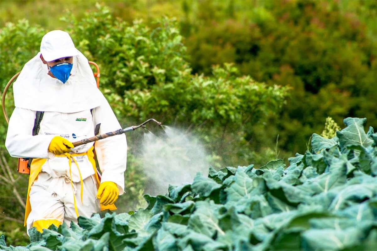 Republica Moldova importă peste o mie de tone de insecticide anual
