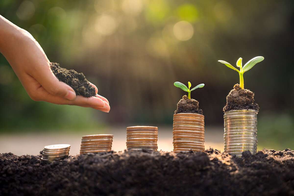 19 decembrie – ultima zi de depunere a cererilor de subvenționare