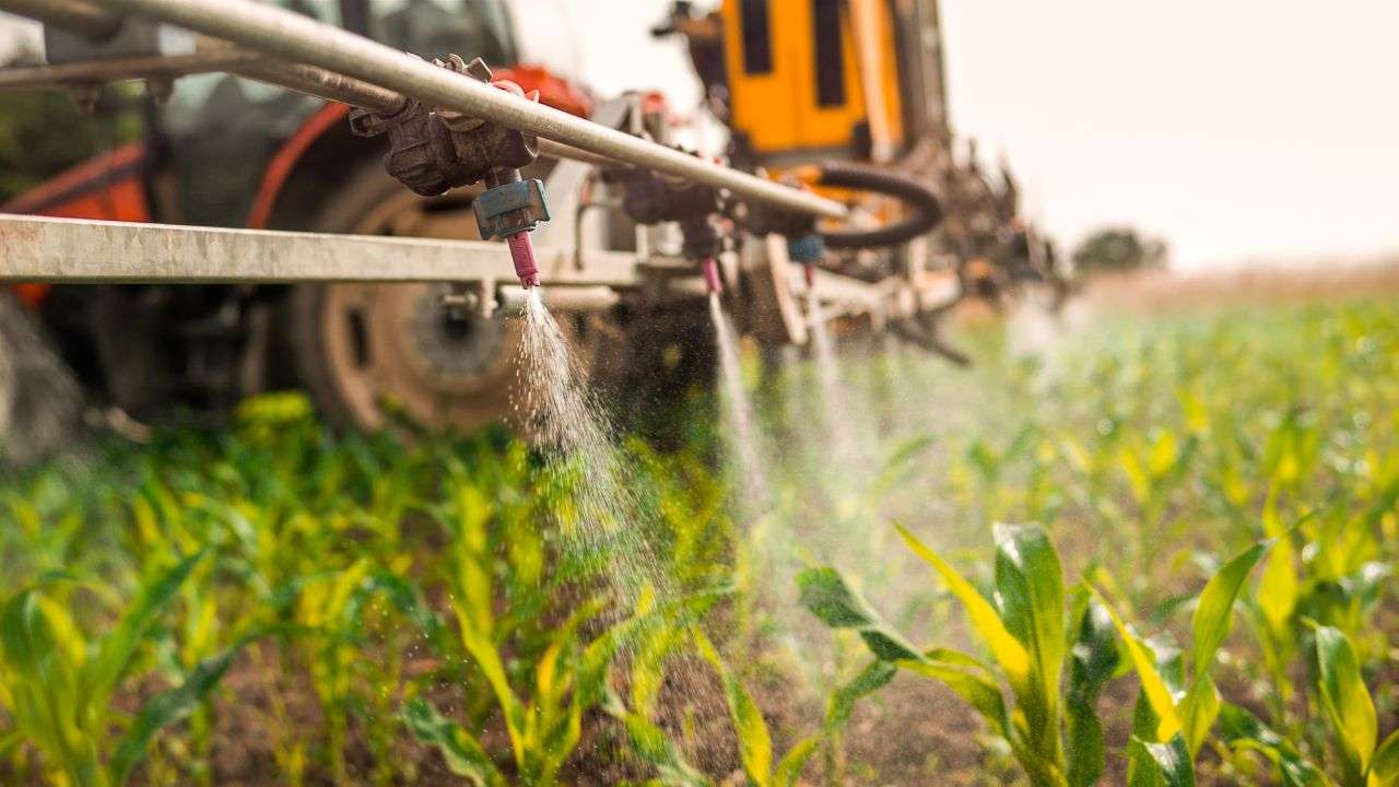 Importul insecticidelor după substanțe active: Care sunt cele mai scumpe