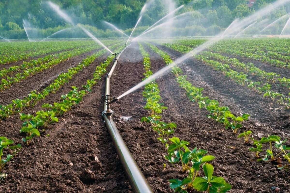 Dezvoltarea sistemului de irigare: Sunt disponibile subvenții de până la 75%