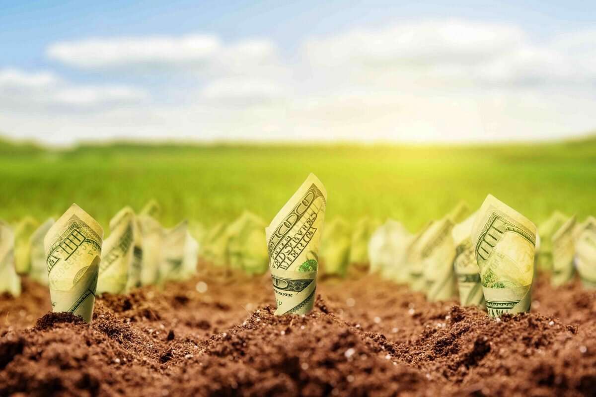Subvenții post-investiții, în avans și pe etape: Peste 3 mii de cereri depuse