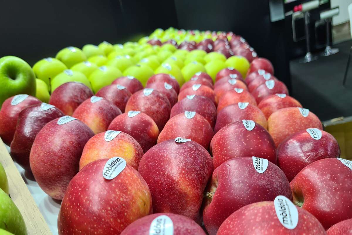 Expoziția Anuga 2025: Cine poate participa