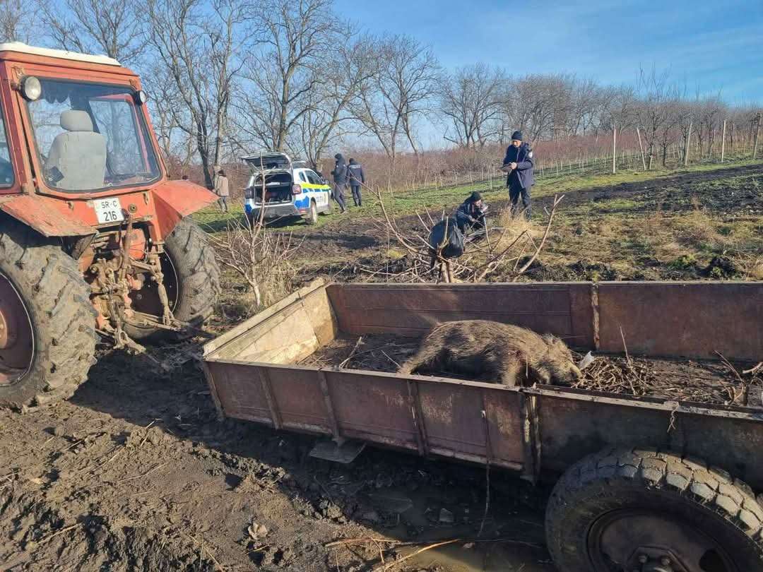 Braconajul cinegetic: O problemă gravă ce atrage sancțiuni severe