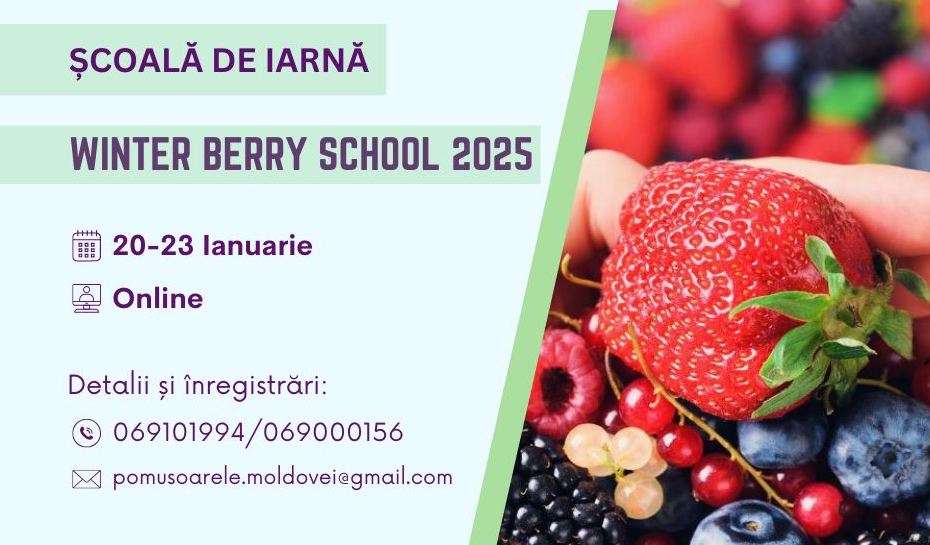 Agenda evenimentului Winter Berry School 2025: Iată ce vei afla