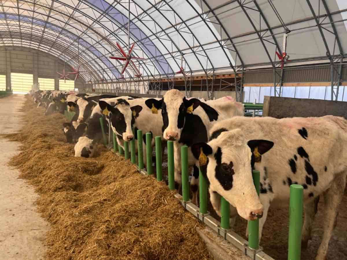 Foto | Granturi pentru sectorul zootehnic: Experiența beneficiarilor
