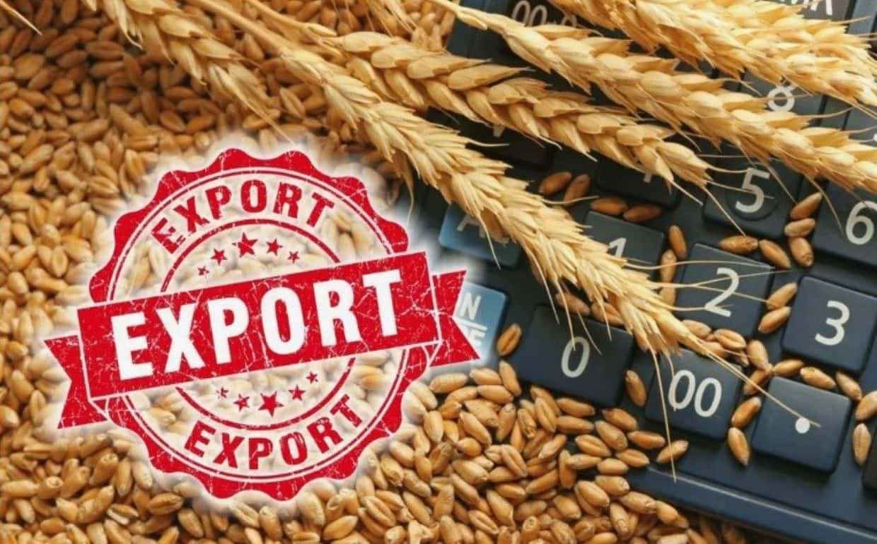 ЕС меняет правила торговли: под угрозой квоты для украинской пшеницы