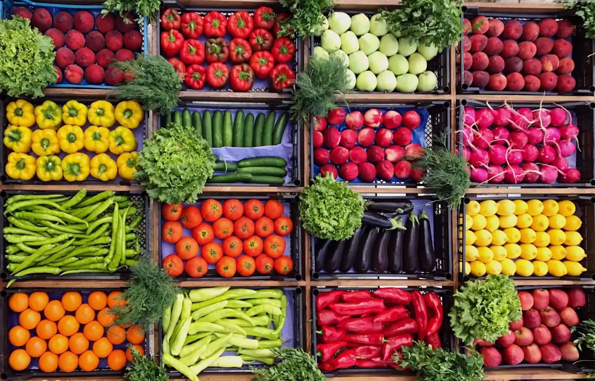 Agricultorii încep să investească în legumicultură: Ce subvenții sunt
