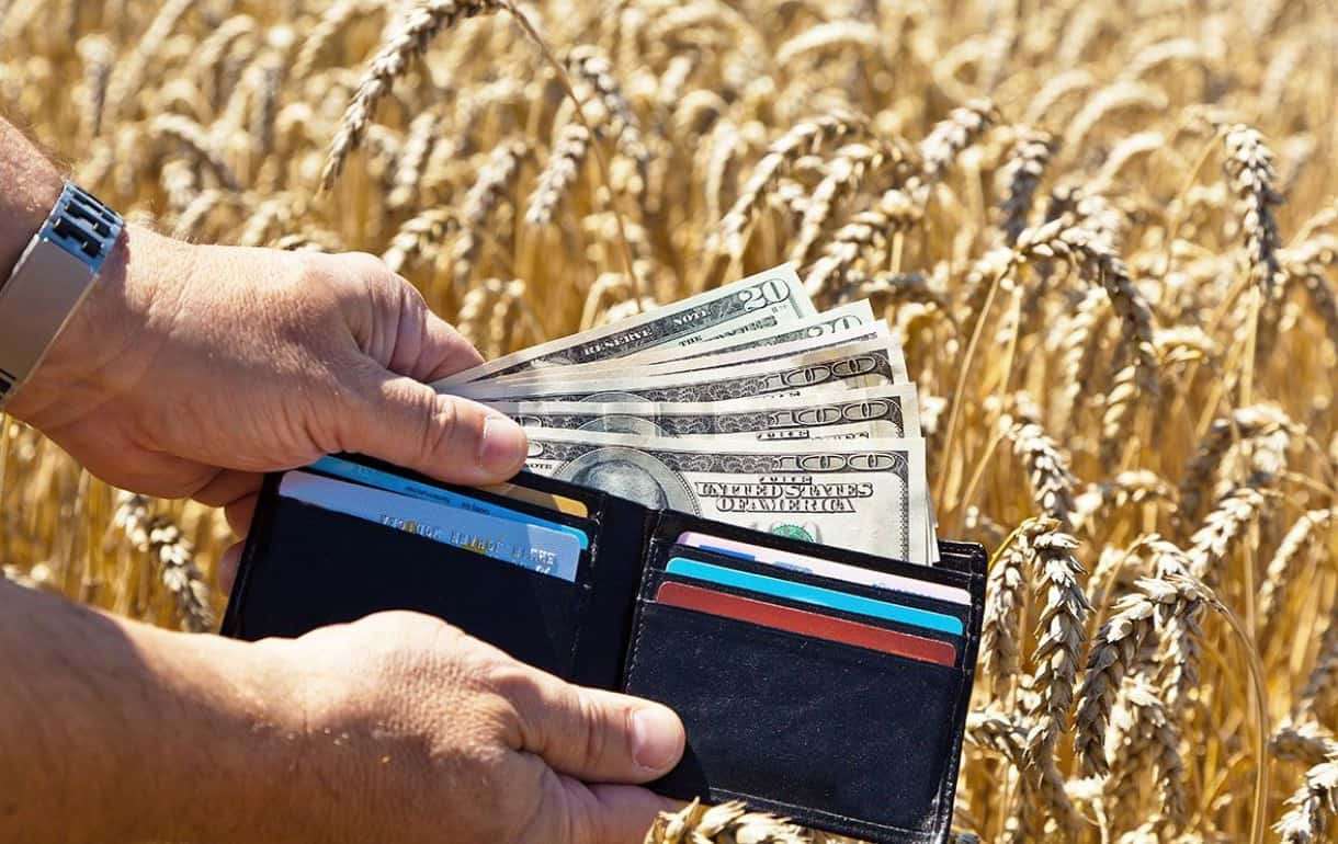 Salariile din agricultură în Moldova au crescut cu 13%