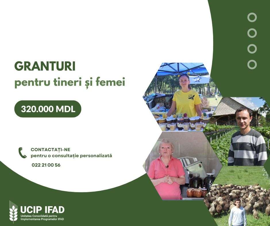 Femeile în agricultură. Iată de ce oportunități pot beneficia