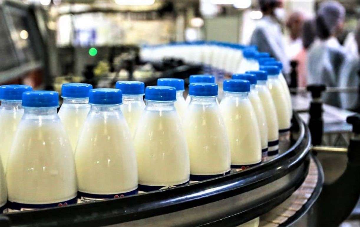 Rabobank: Мировое производство молока будет расти