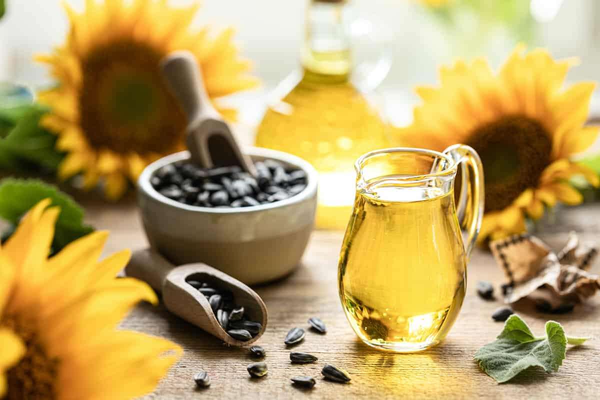 Moldova exportă aproape întreaga recoltă de floarea-soarelui fără procesare