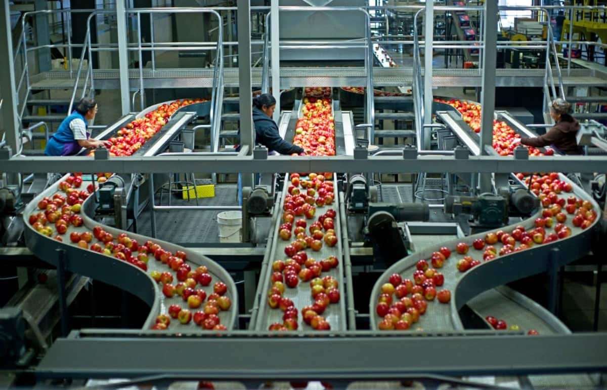 IFAD объявил о льготном кредитовании для переработчиков фруктов