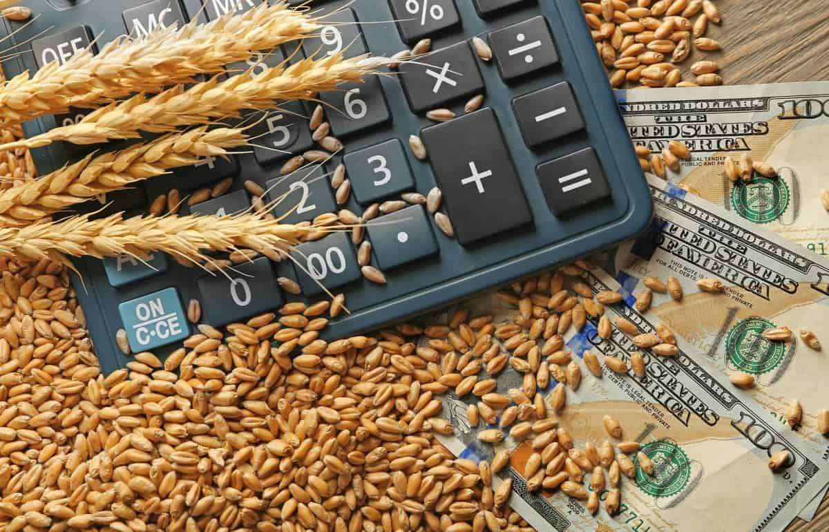 В Молдове в первую неделю апреля выплатили субсидий на 62 млн леев