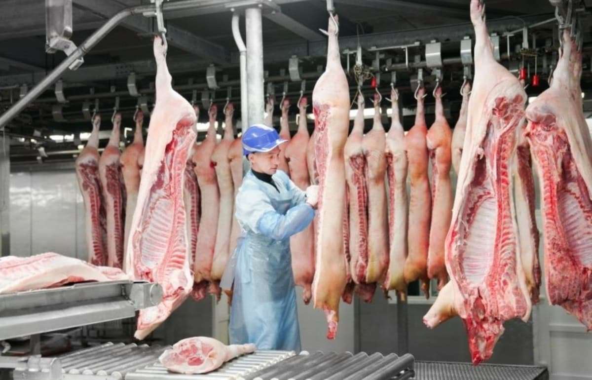 Экспорт свинины из ЕС в 2024 году растет, хотя в Китае теряет позиции
