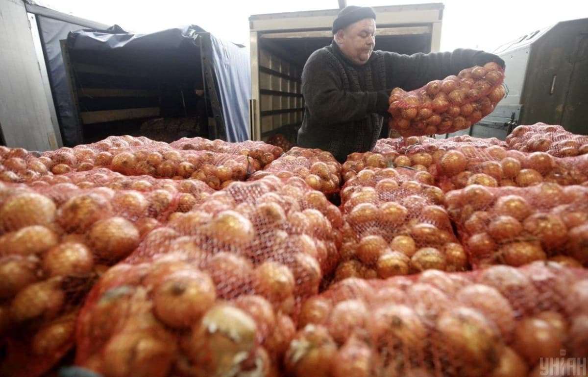 Экспансия украинского лука на рынок Европы усиливается