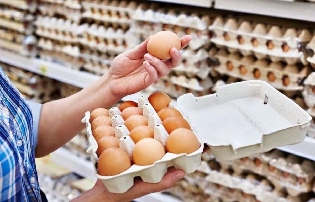 В странах ЕС цены на яйца продолжают расти