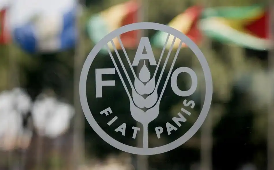 FAO sprijină comunitățile rurale din Republica Moldova 